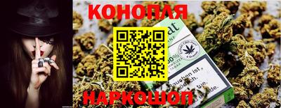spice Балашиха