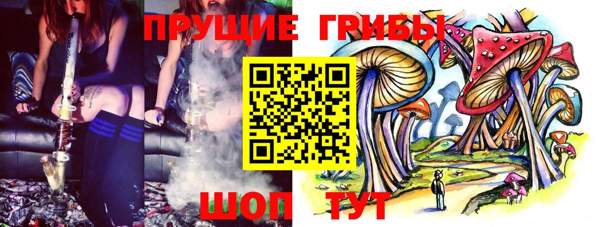 Псилоцибиновые грибы прущие грибы  Вход с VPN  Дмитров  Псилоцибиновые грибы GOLDEN TEACHER 